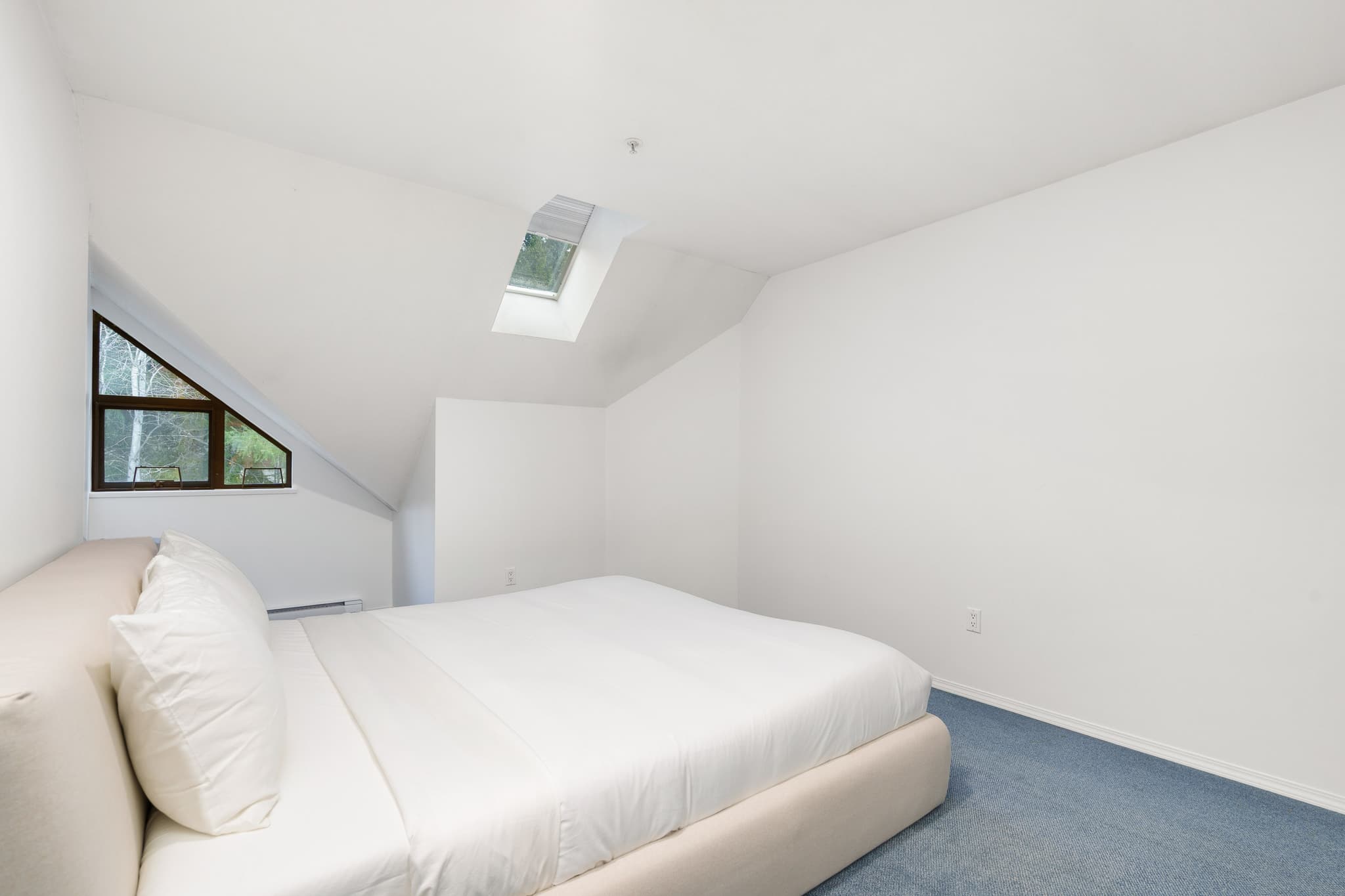 Forest view from balcony