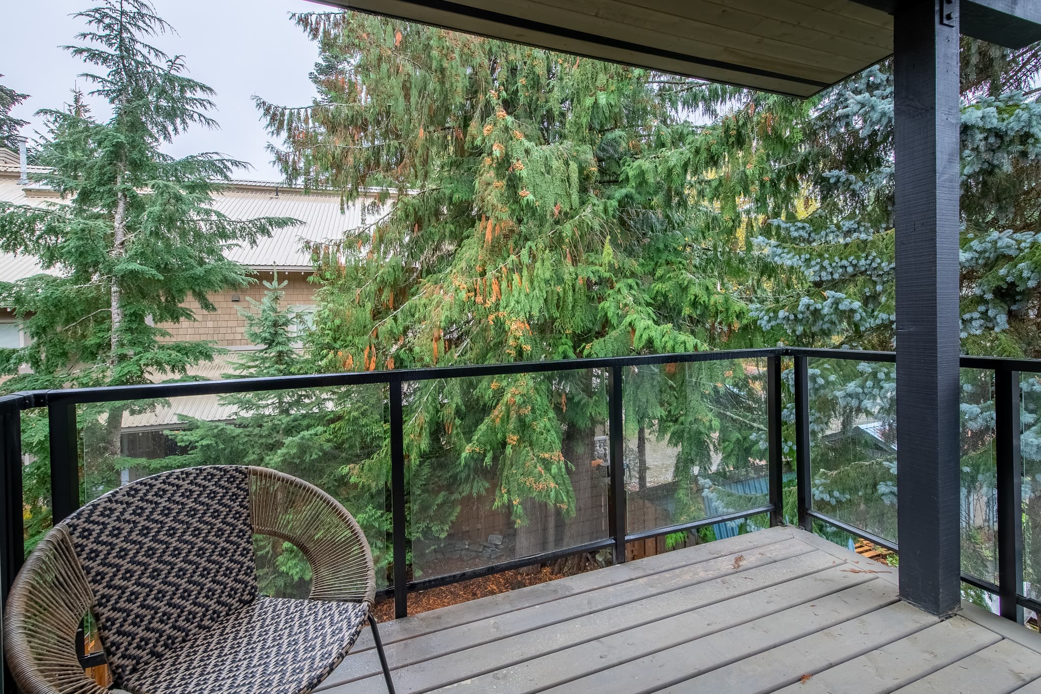 Snow Pine interior 12