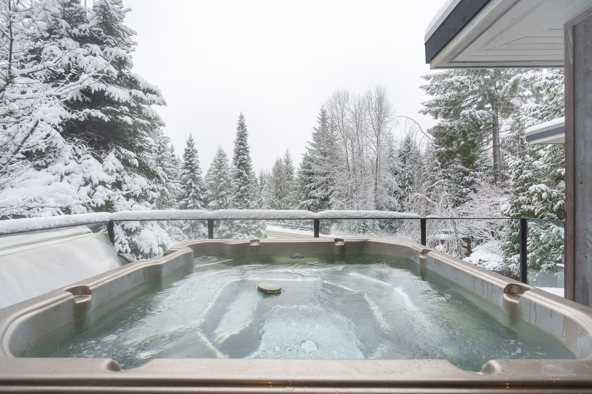 The Nest interior 20